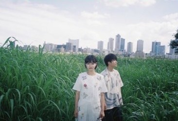 三毛とアネモネ