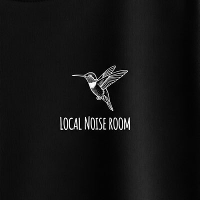 LOCAL NOISE ROOM